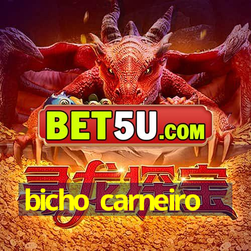 bicho carneiro